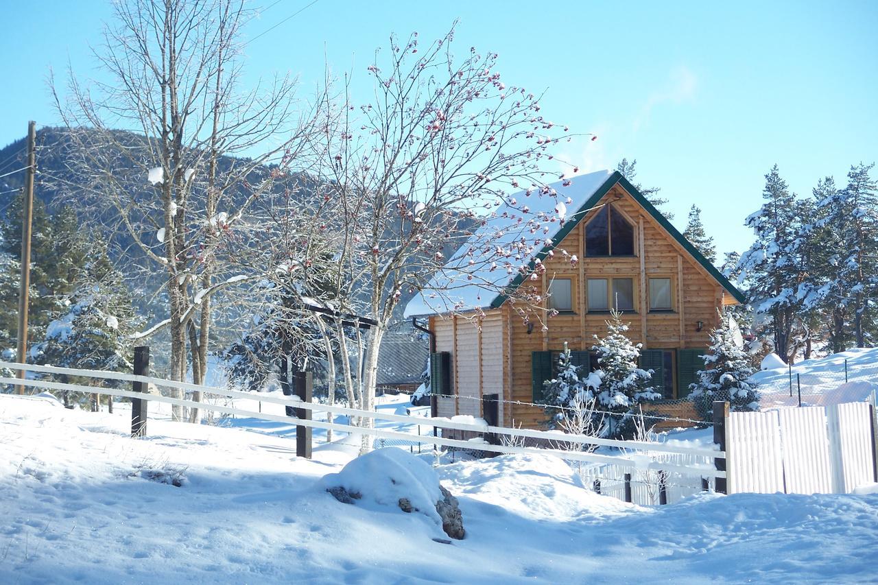 Kuca U Borju - House In Pines Apartment Zabljak  Exterior photo