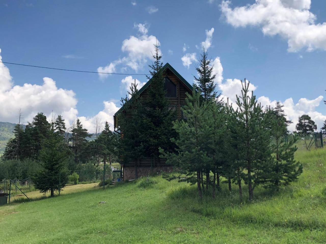 Kuca U Borju - House In Pines Apartment Zabljak  Exterior photo